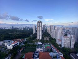 Blk 43A Skyoasis @ Dawson (Queenstown), HDB 4 Rooms #617580561